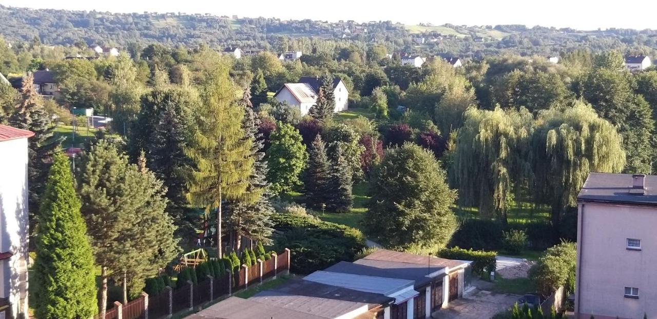 Апартаменты Apartament Perla Скавина Экстерьер фото